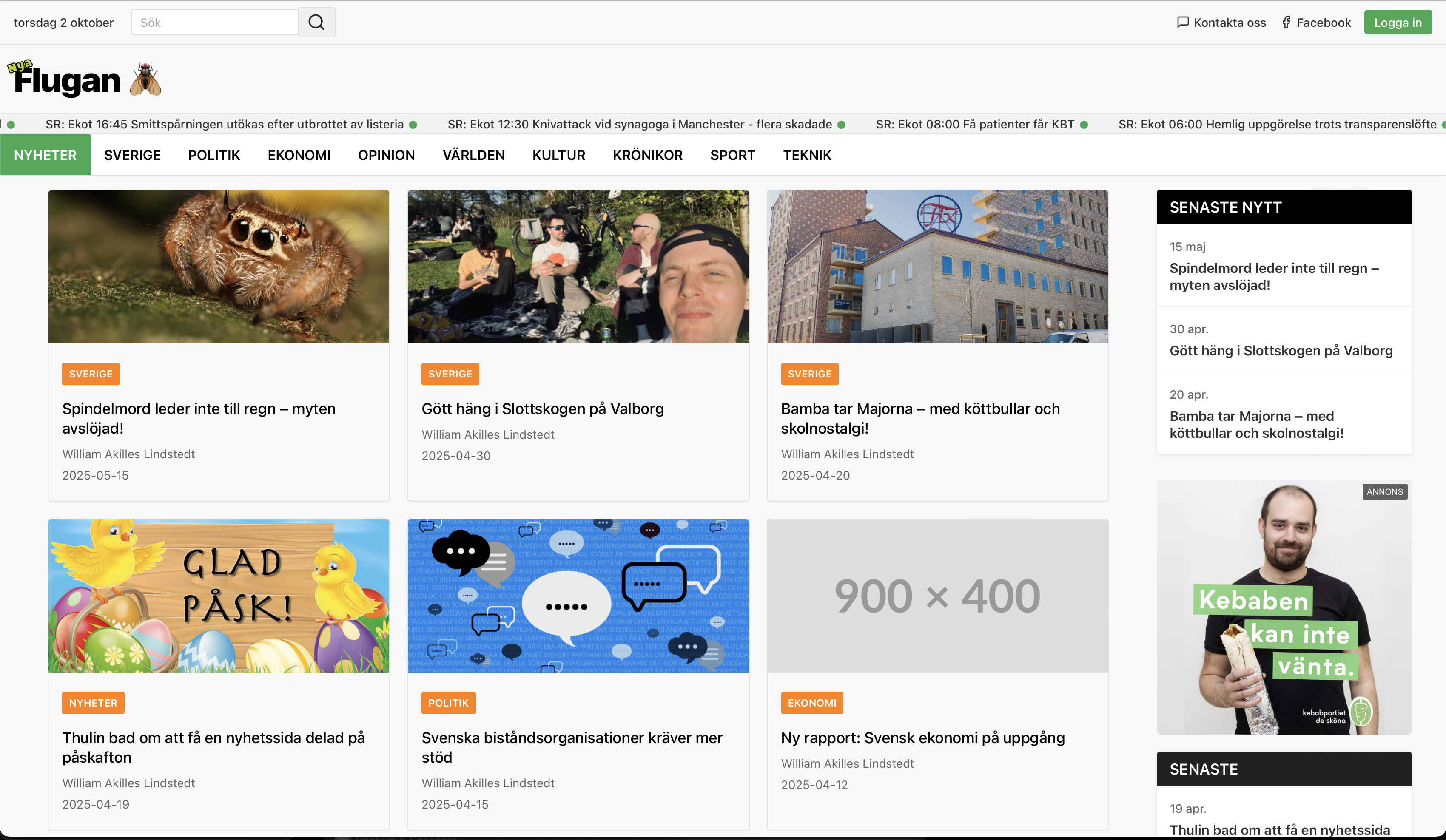 Nya Flugan Screenshot