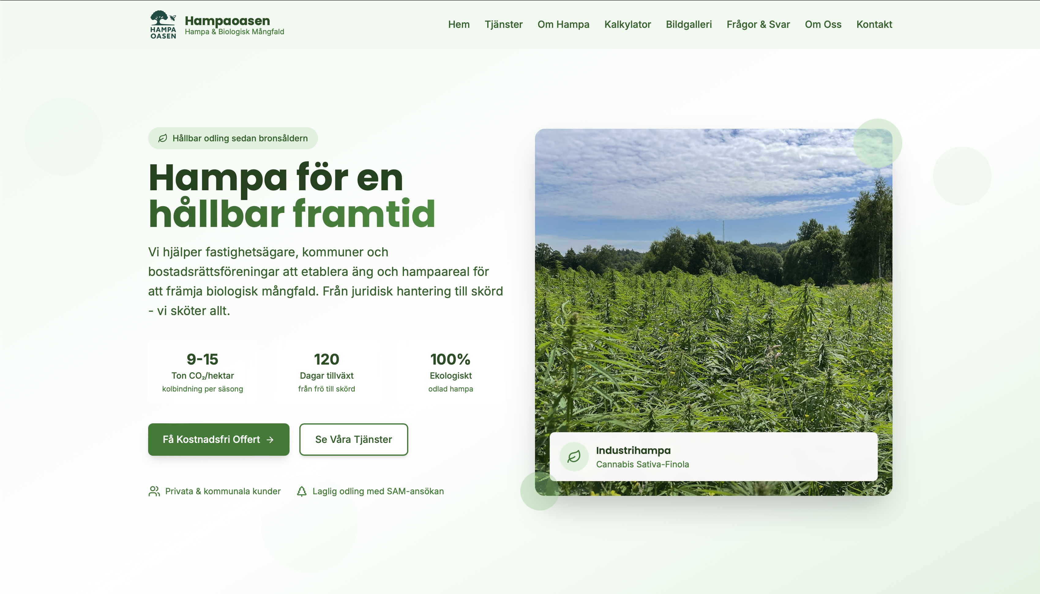 Hampaoasen Screenshot